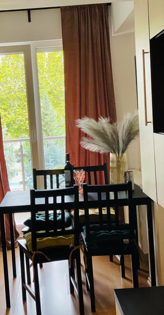 Apartment Tranzzit Airport Otopeni