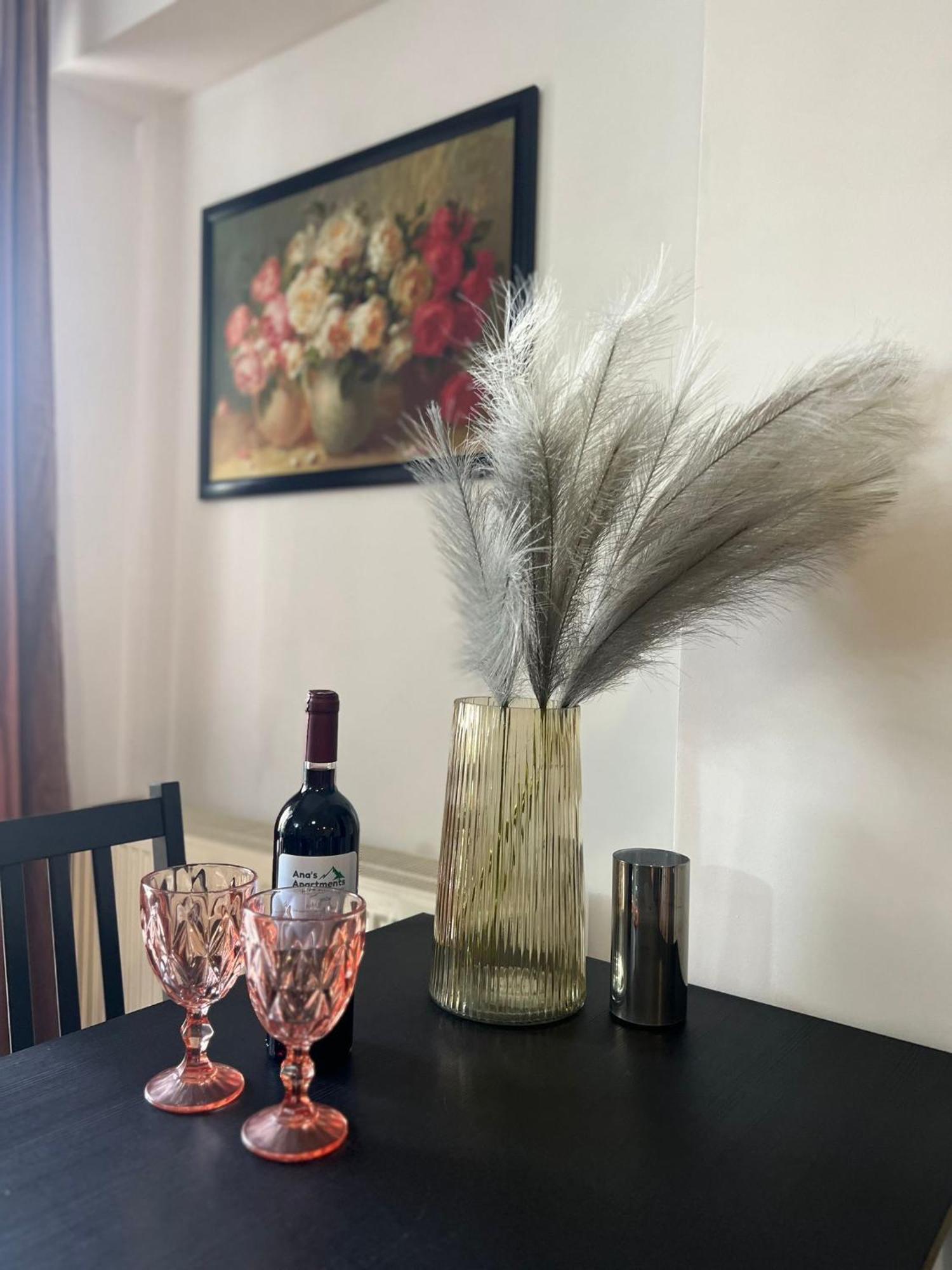Tranzzit Airport Apartment Otopeni