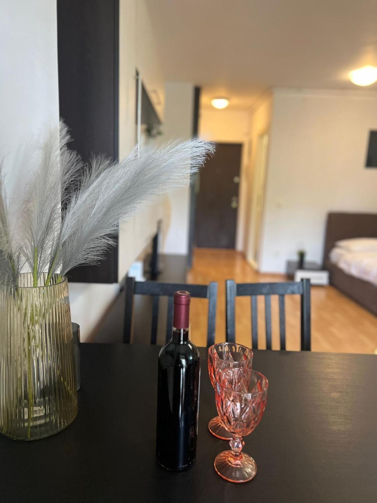 Apartment Tranzzit Airport Otopeni